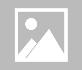 【法甲】勒阿弗尔vs斯特拉斯堡伤病名单最新(2024年12月16日)